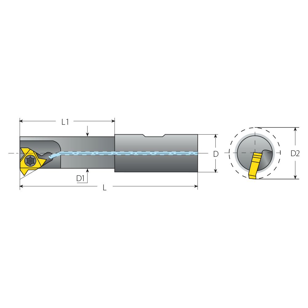 Thread Milling Holders TMS - Laydown Single Point Shank Diameter 
